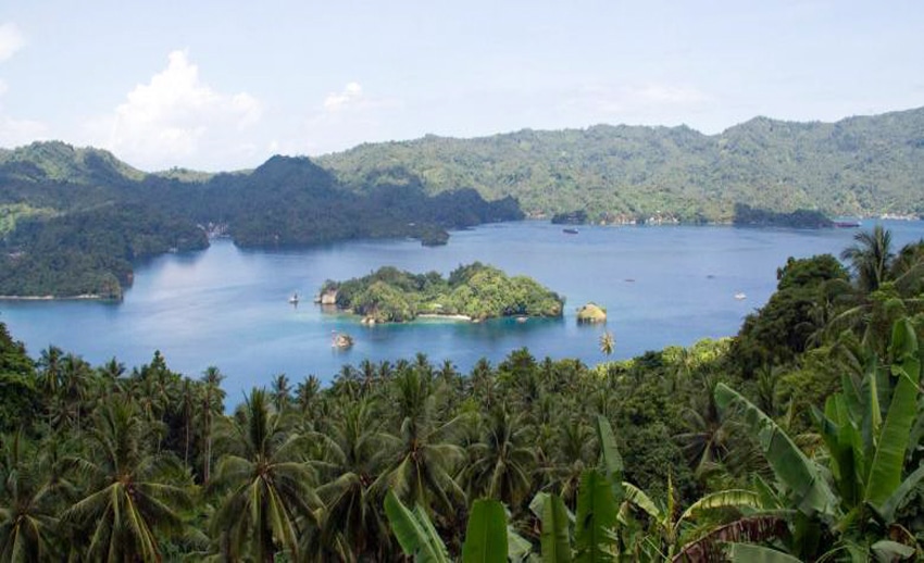 Read more about the article Selat Lembeh: Muck Diving Terbaik