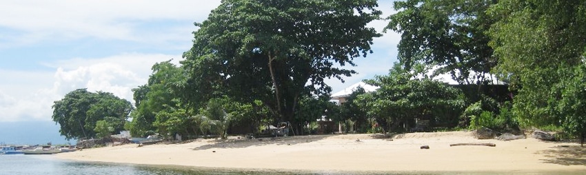 mc cottage & dive
