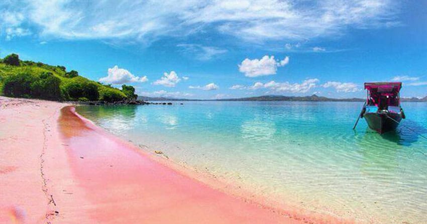 pantai pink lombok. instagramable!