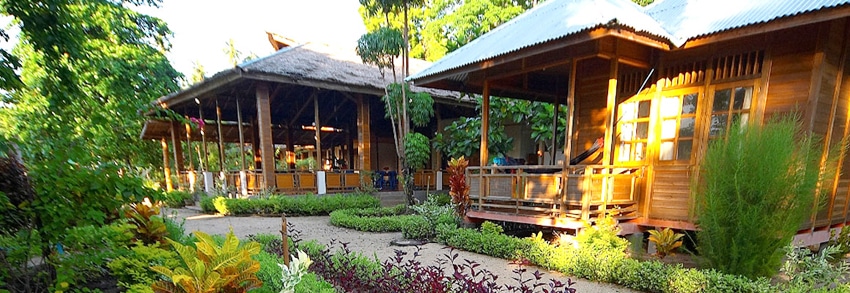 two fish dive resort bunaken